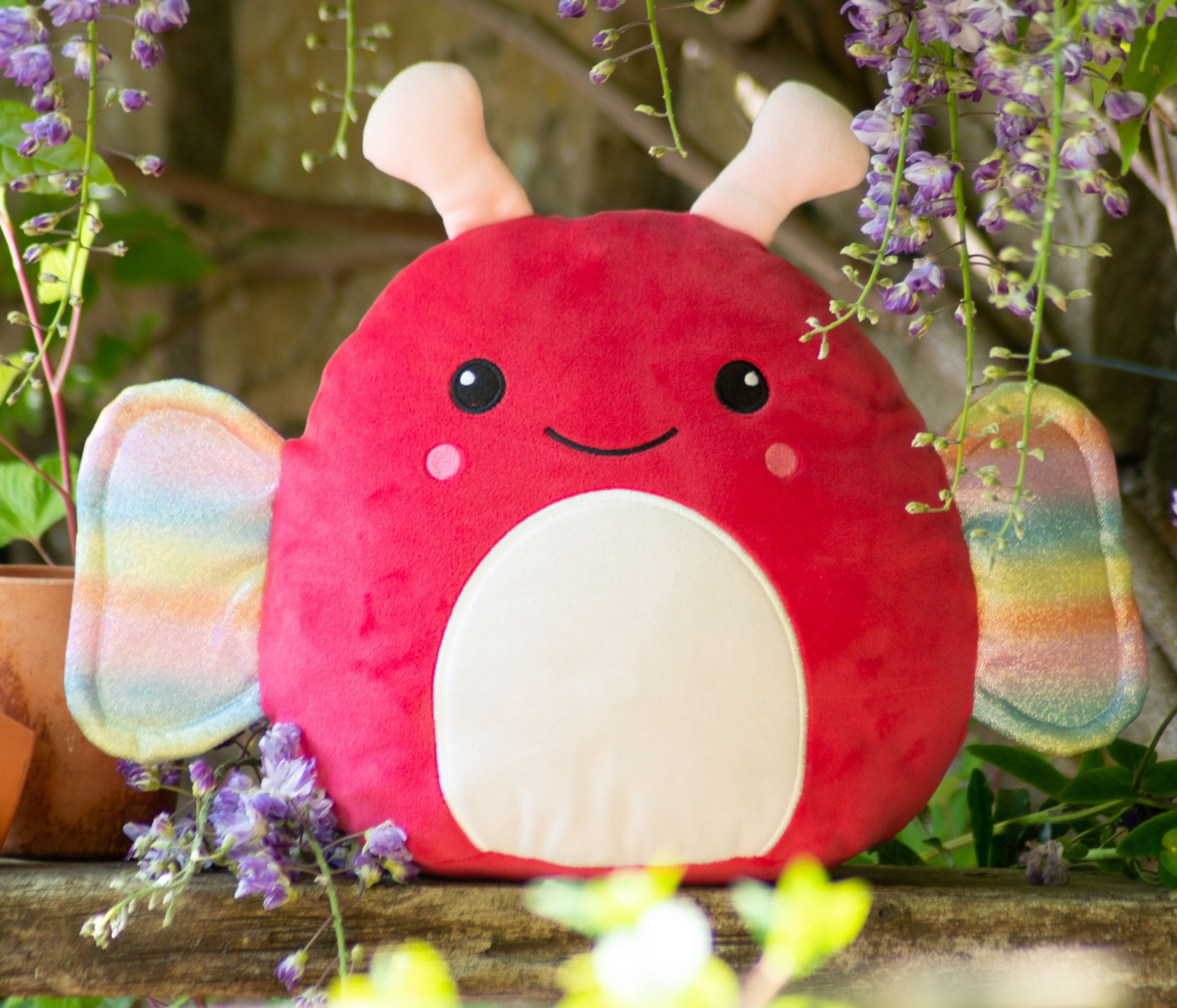 SQUIDGY BUTTERFLY
